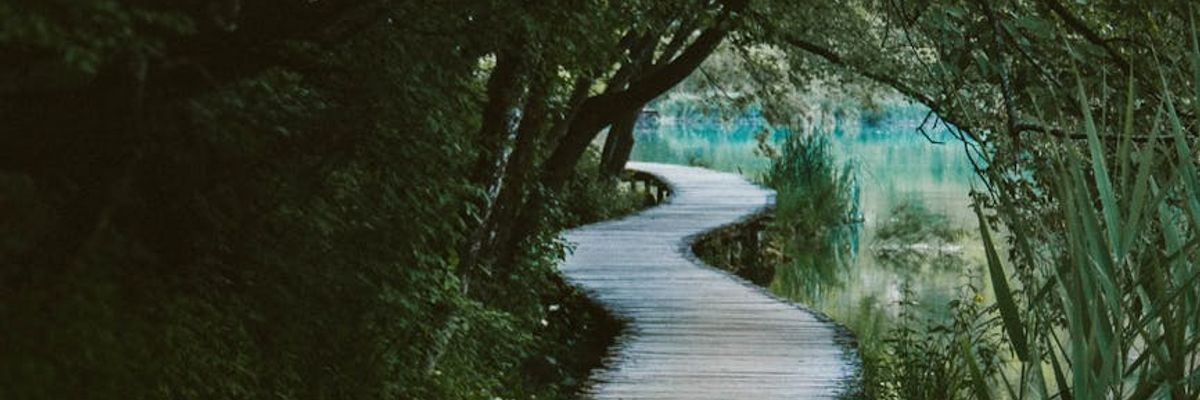 A long, winding path through a serene green landscape representing a journey.